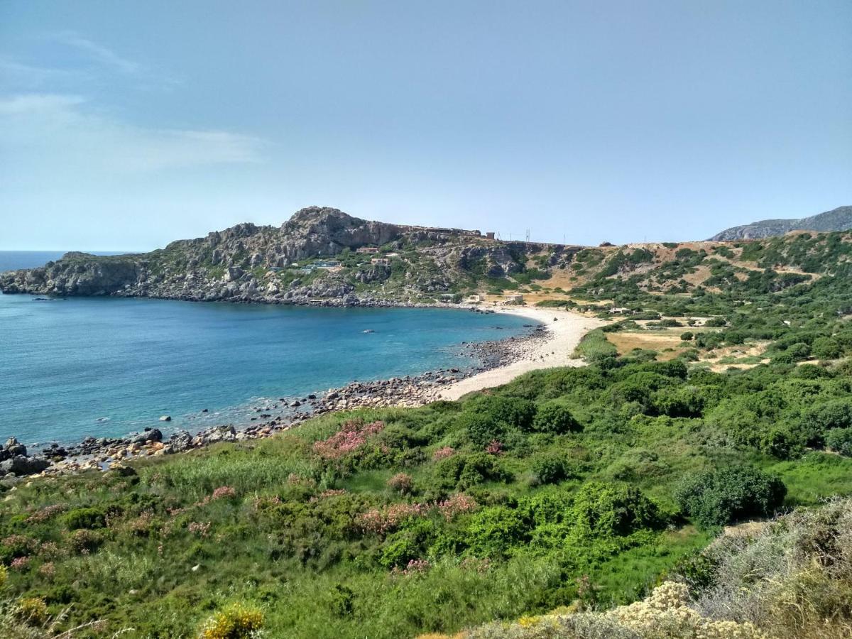 "Pefkopetro" Traditional House Κεραμωτή Εξωτερικό φωτογραφία